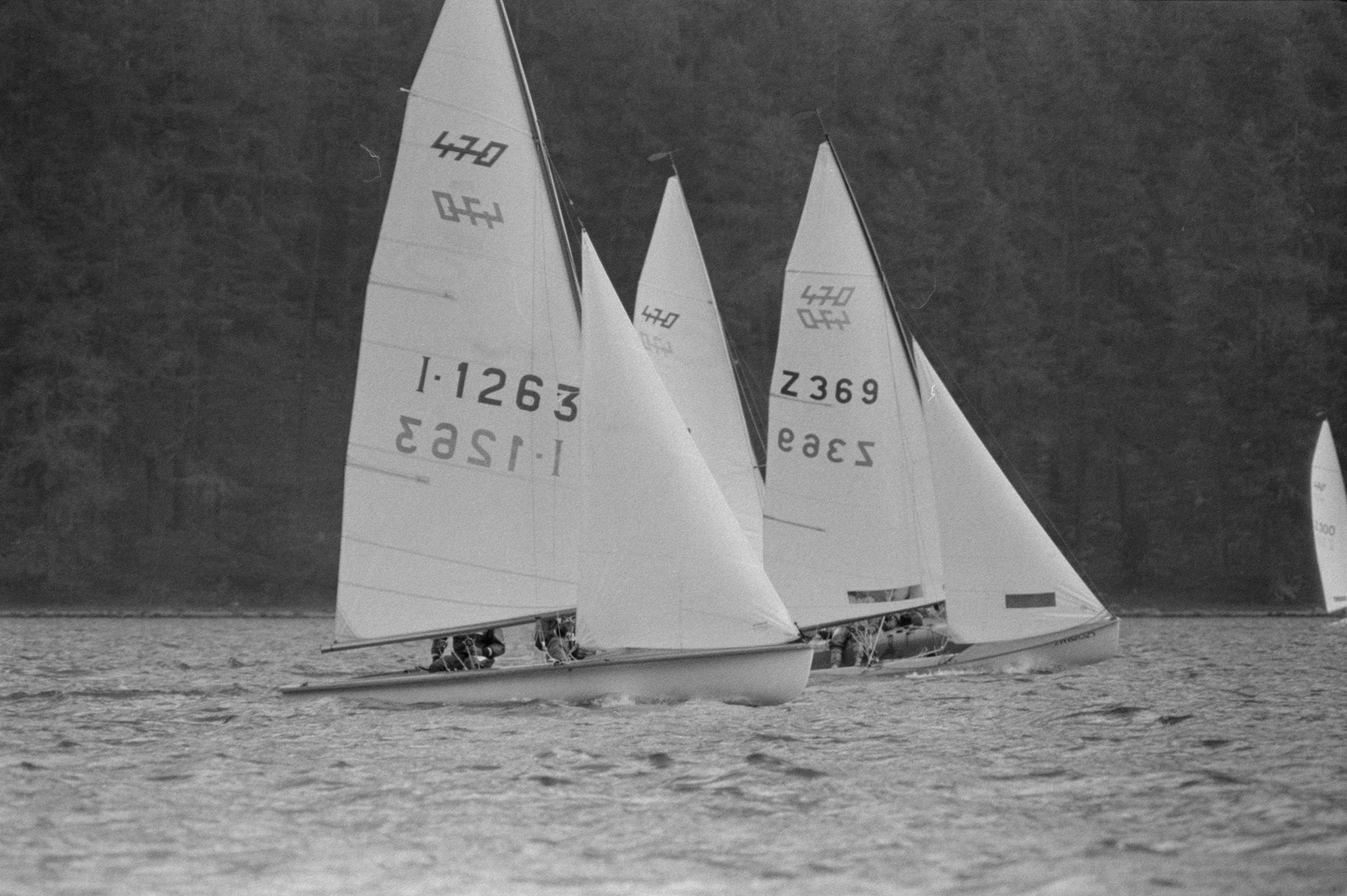 Silvaplanersee, 470-er Schweizer Segelmeisterschaft