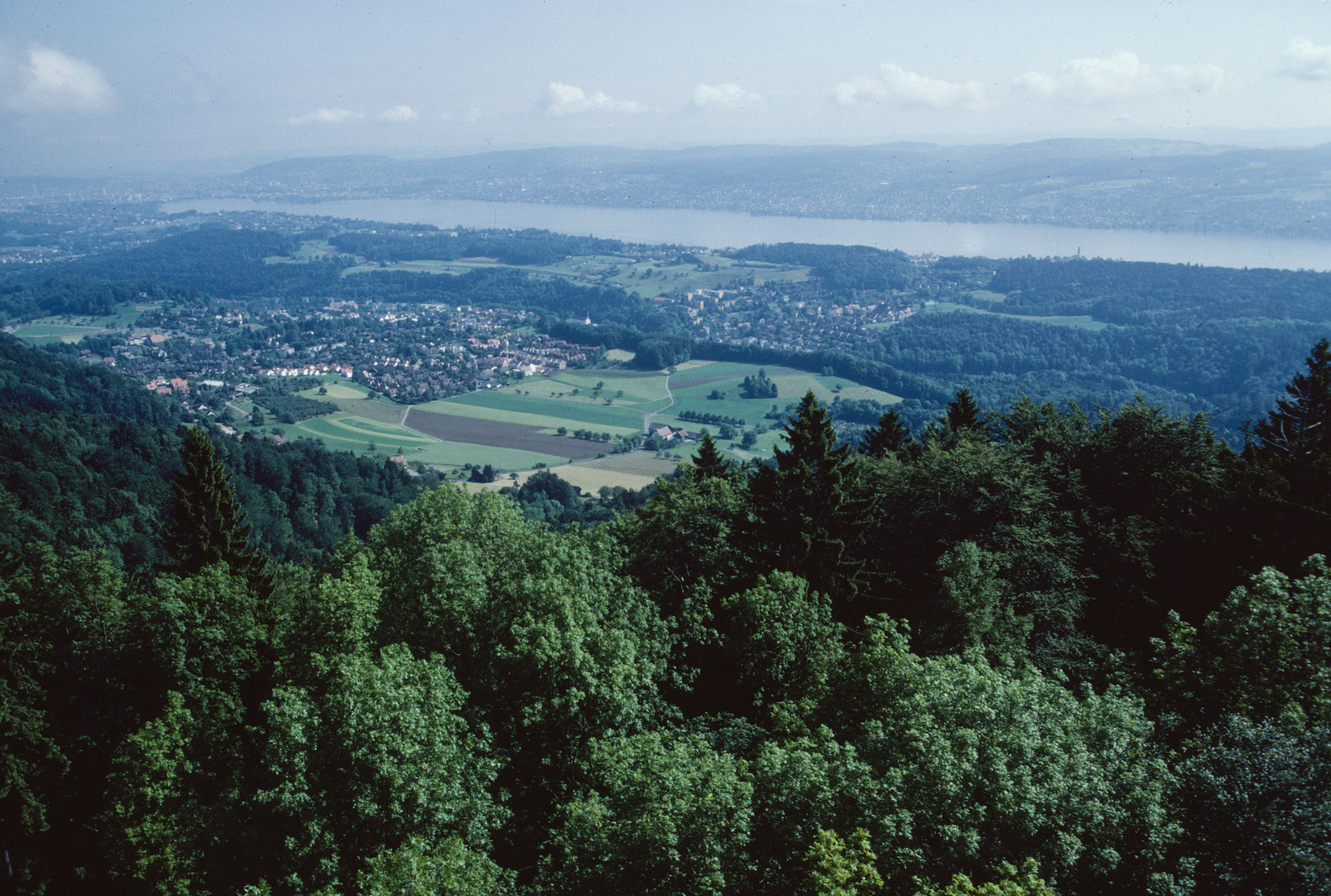 Albispass, Hochwacht-Aussichtsturm, Blick ins Sihltal