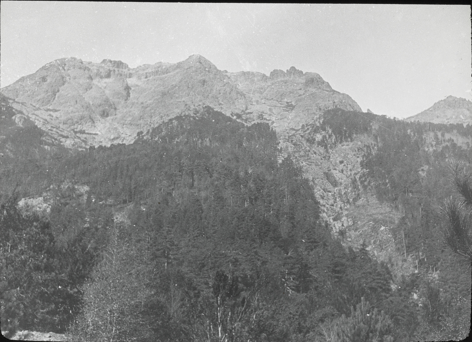 Korsika, Brandwald bei Vizzavona