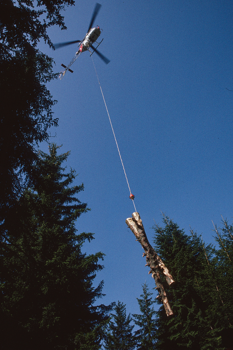 Anzonico TI, Waldstück westlich von Su…isa