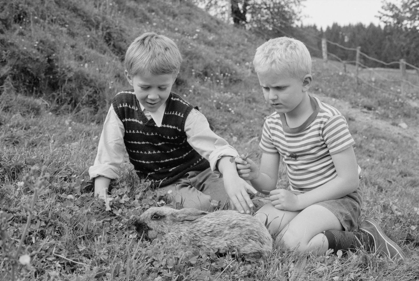 Filmarbeiten 
