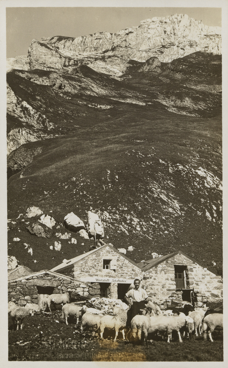 Schafboden m. Säntisaufstieg