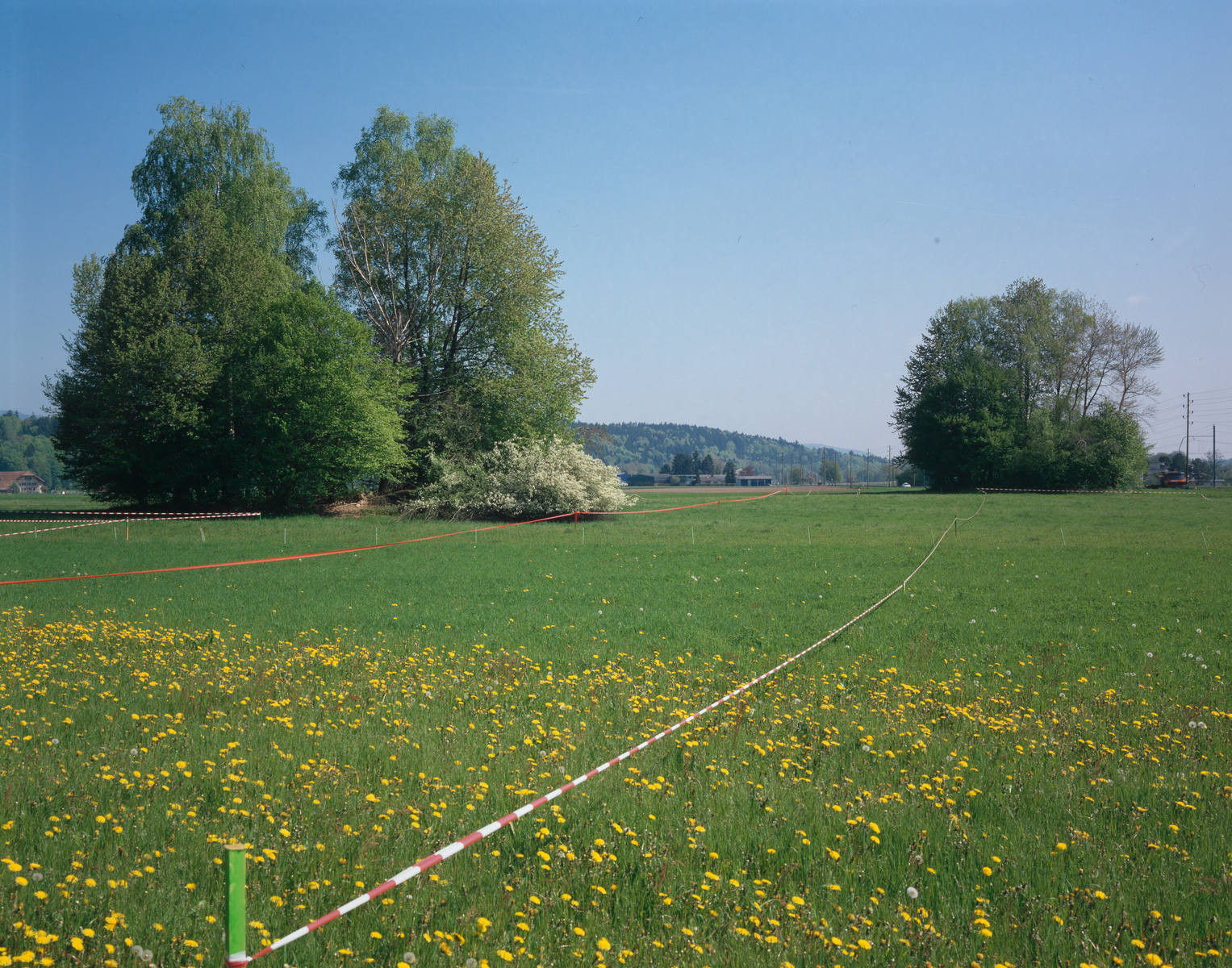 Langenthal BE, Südansicht der Weide Unterhard mit Hügeln (Keltengräber) und der Bahnlinie der SBB