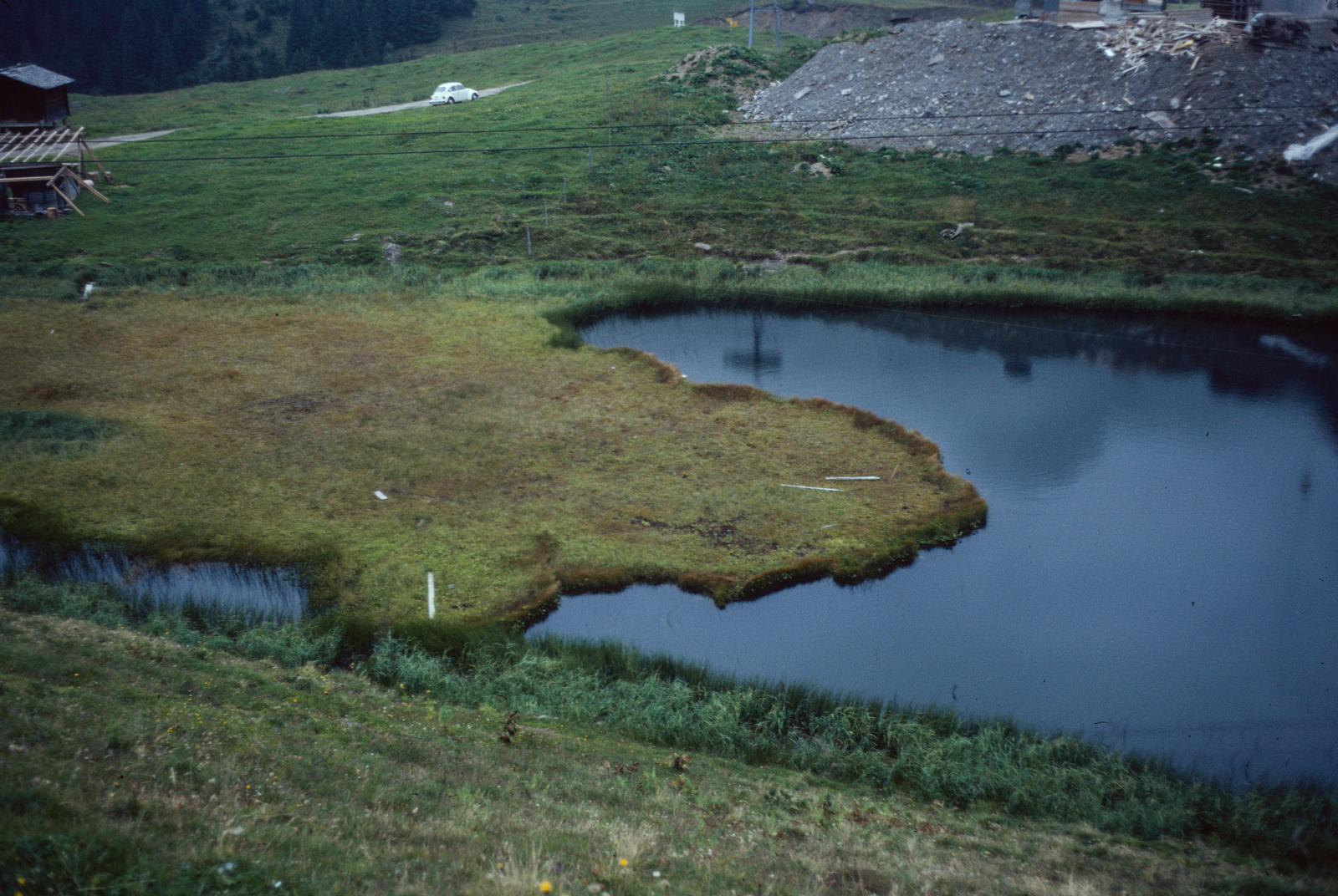 HM 513, Seelein bei der Mägisalp, Seemad, Schwingrasen bei Station Mägisalp, Torfmoosrasen