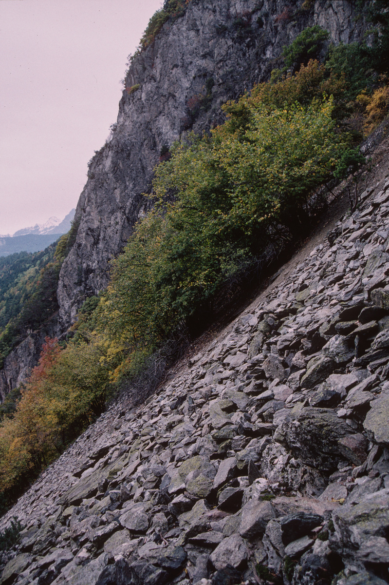 Martigny, Mont Chemin, Sentier des Mines