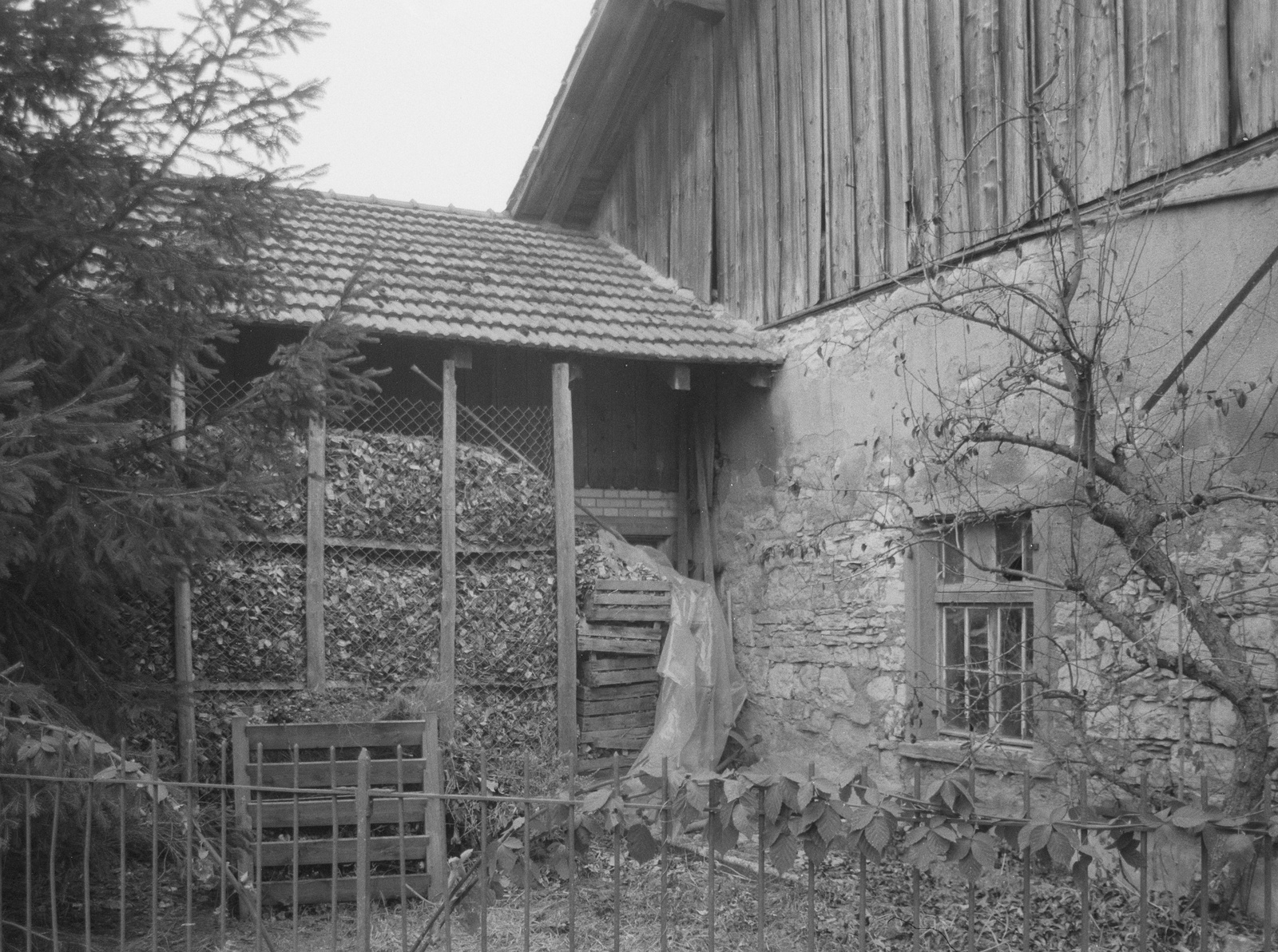 Oerlingen, Schaffhauserstrasse 27, S-Seite, Brennholzvorrat