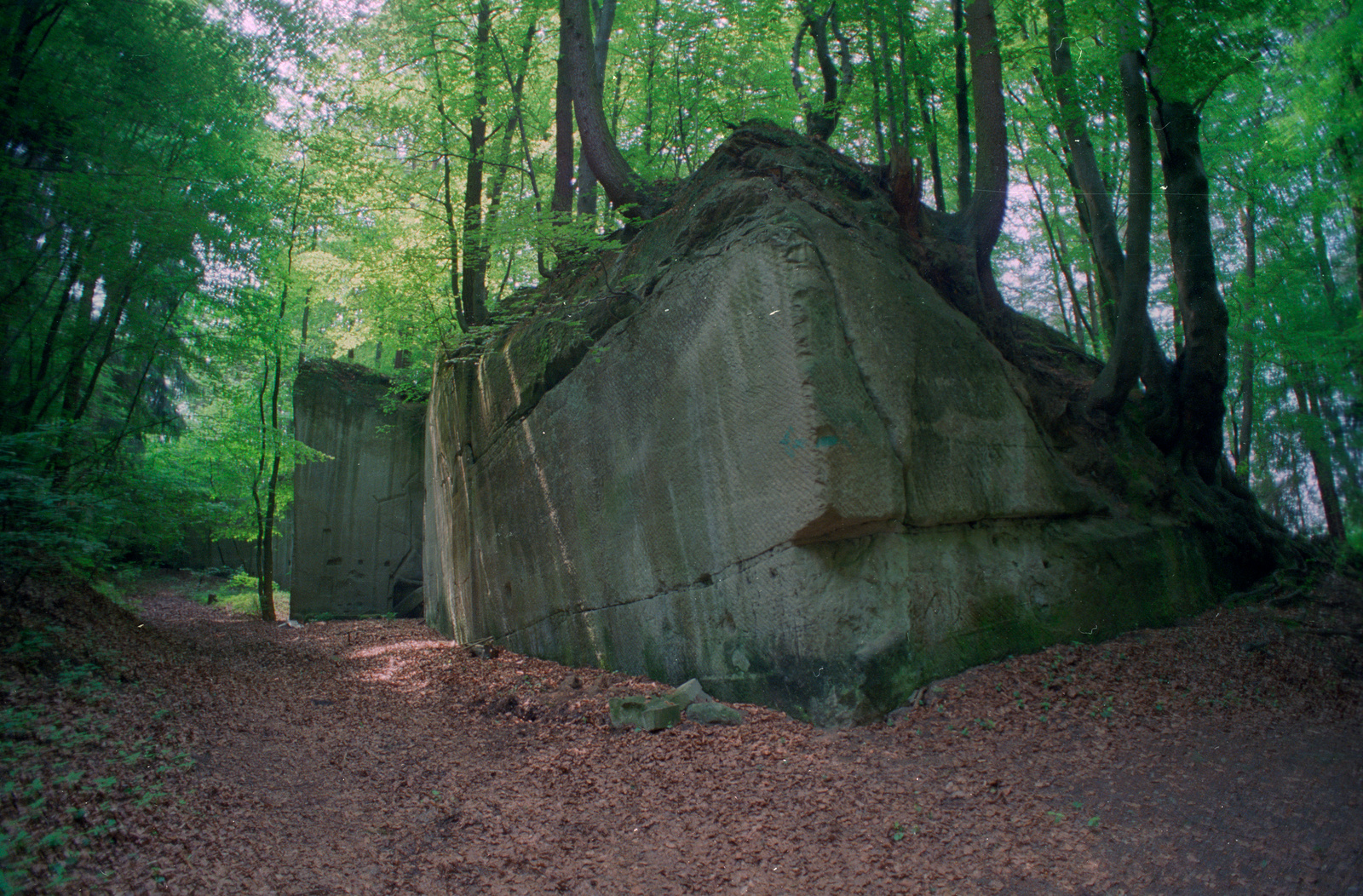 Ostermundigen, Sandsteinbruch am Ostermundigenberg