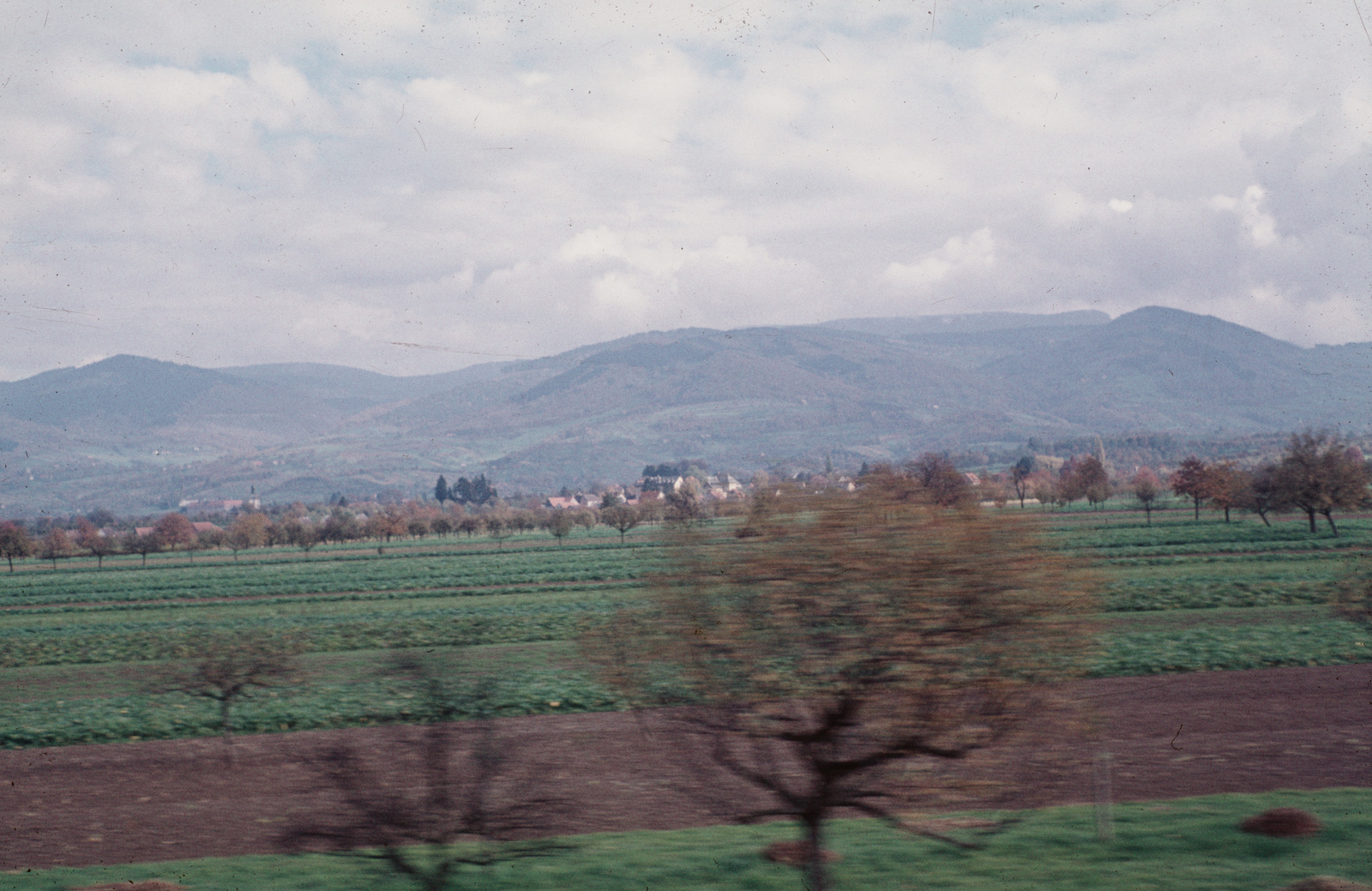 Schwarzwald, von Oberrheinischer Tiefebene gesehen