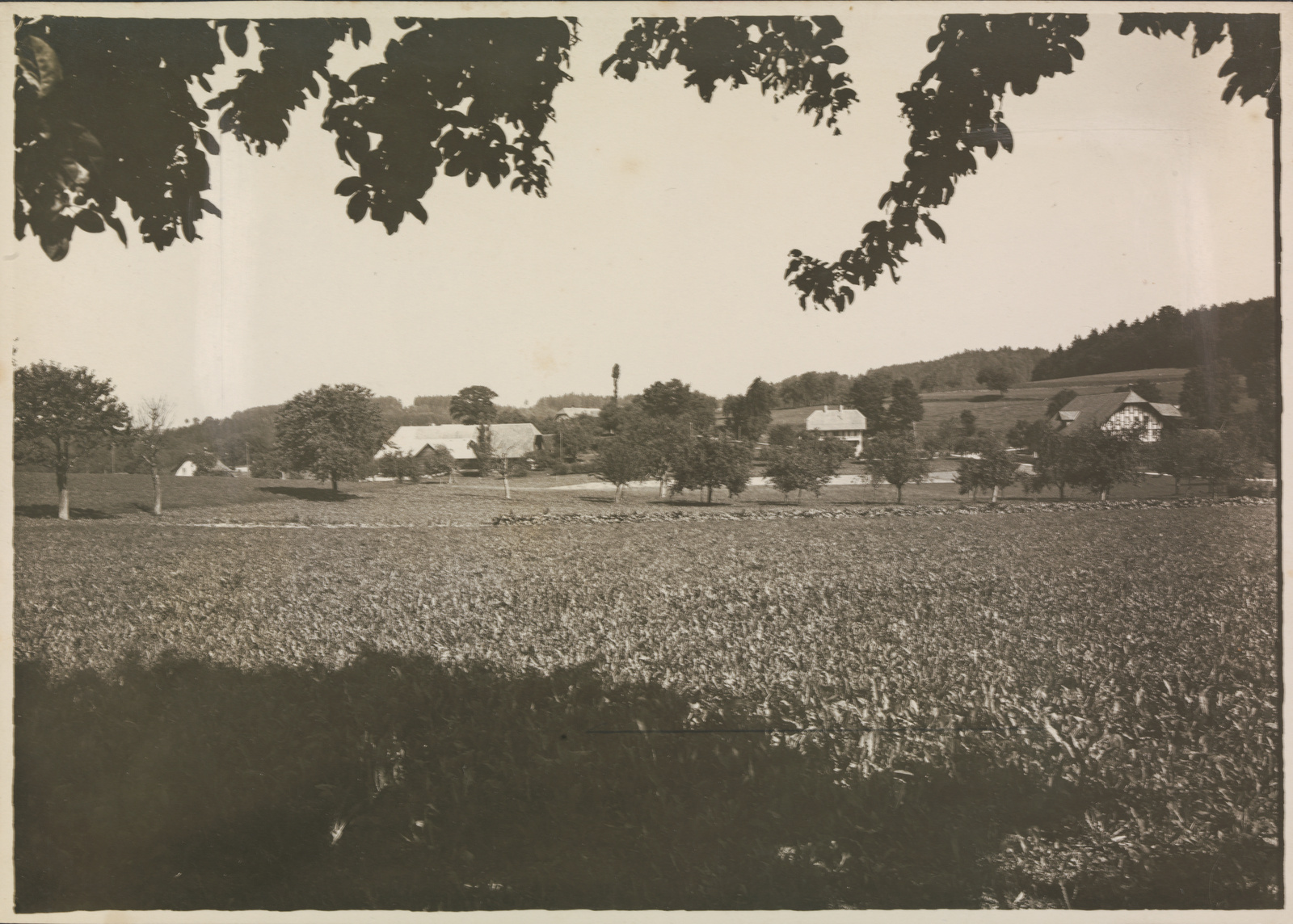 Rosshäusern (BE)