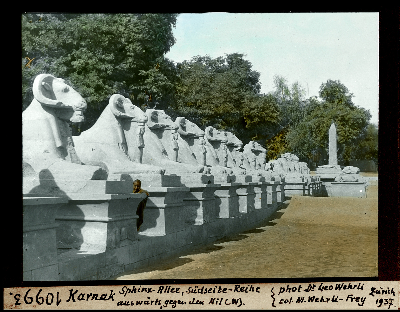 Karnak, Sphinx-Allee, Südseite Reihe auswärts, gegen den Nil (Westen)