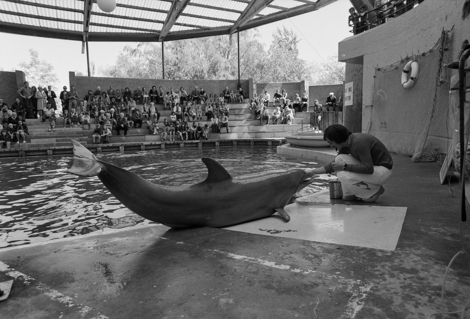Rapperswil, Kinderzoo, Delphine