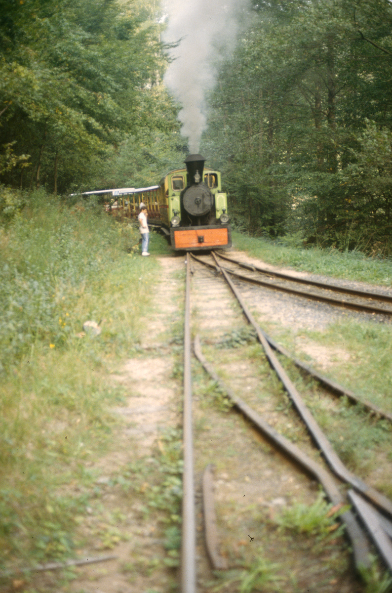 Abreschviller, Waldbahn 700mm