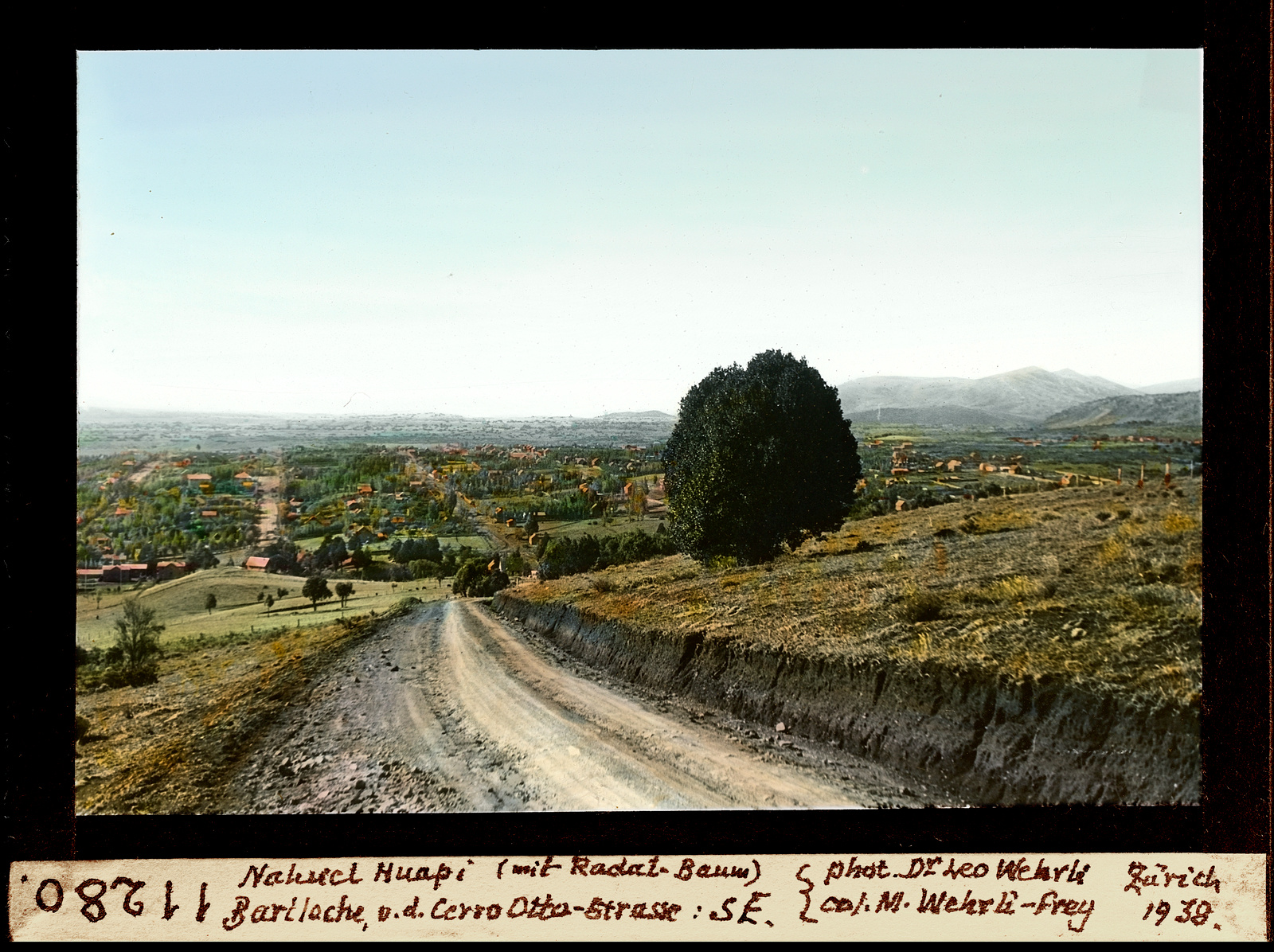 Nahuel Huapi (mit Radat-Baum) Bariloche, v.d. Cerro-Otto-Strasse, Südost