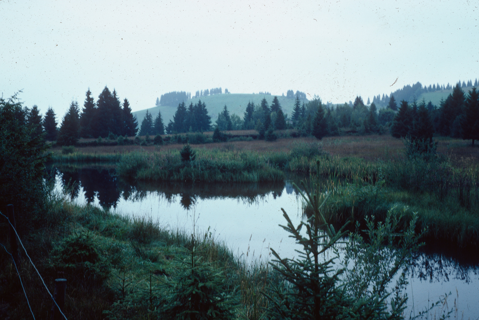 HM 407, Fuchserenmoos, Geugelhusenmoos, Torfstich im westlichen Teil vom Fuchserenmoos [unscharfe Aufnahme]