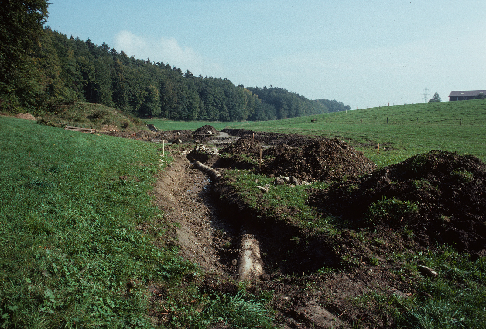 Diemerswil BE, Auf der Bärenriedwiese beim Scheibenstand der Schiessanlage Bärenried, z. T. im Hintergrund der Bärenriedwald