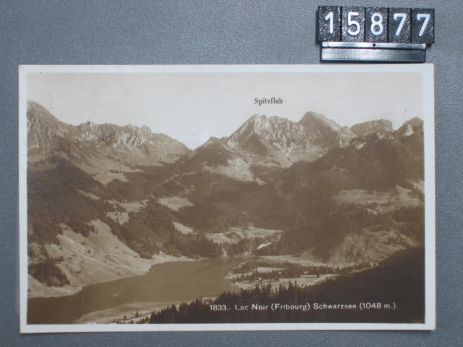 Fribourg, Lac Noir = Schwarzsee 1048 m, Spitzfluh