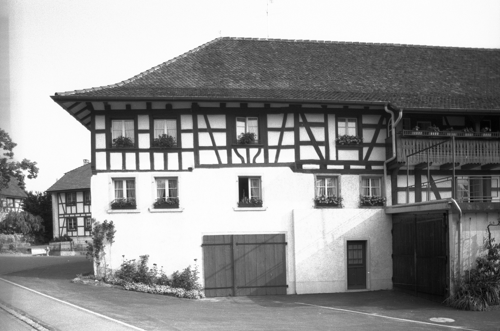 Berg am Irchel, Haldenweg 2, S-Seite