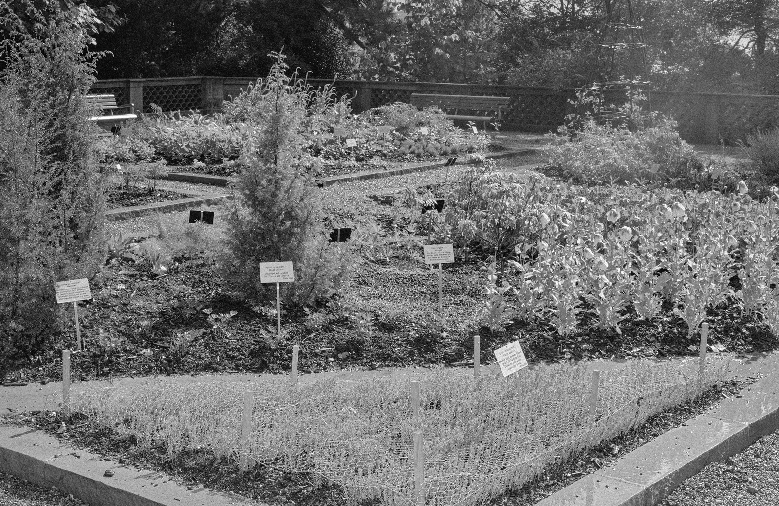 Zürich, Alter Botanischer Garten