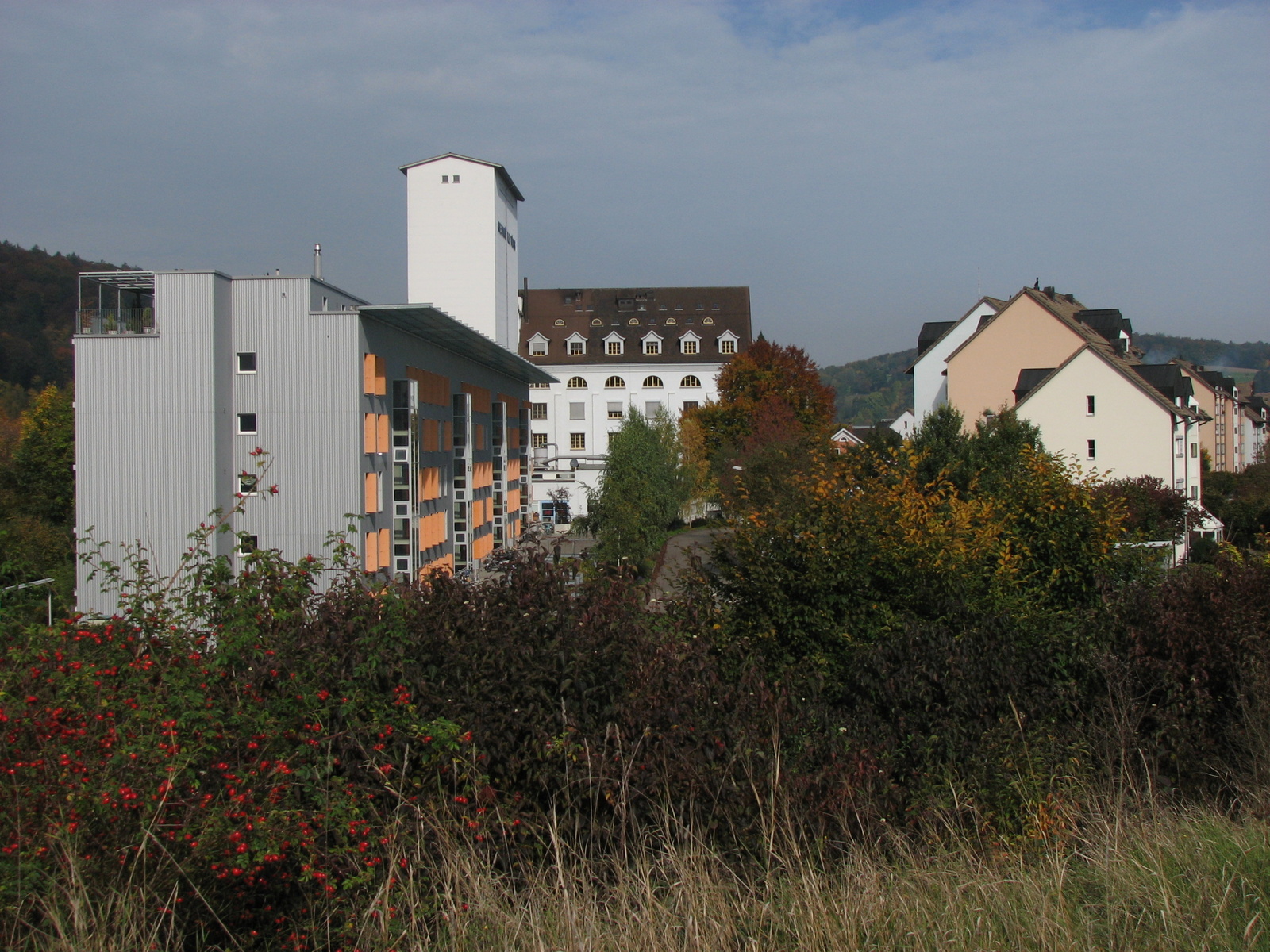 Winterthur, Neumühlestrasse, ehem. Neumühle
