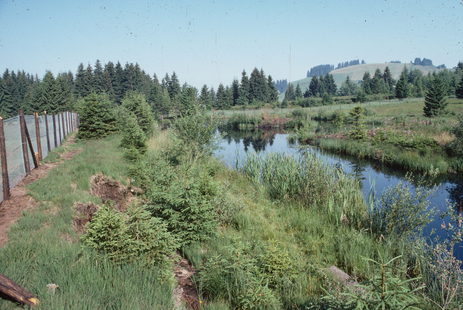 HM 407, Fuchserenmoos, Geugelhusenmoos, Anlage von Teichen im Hochmoor