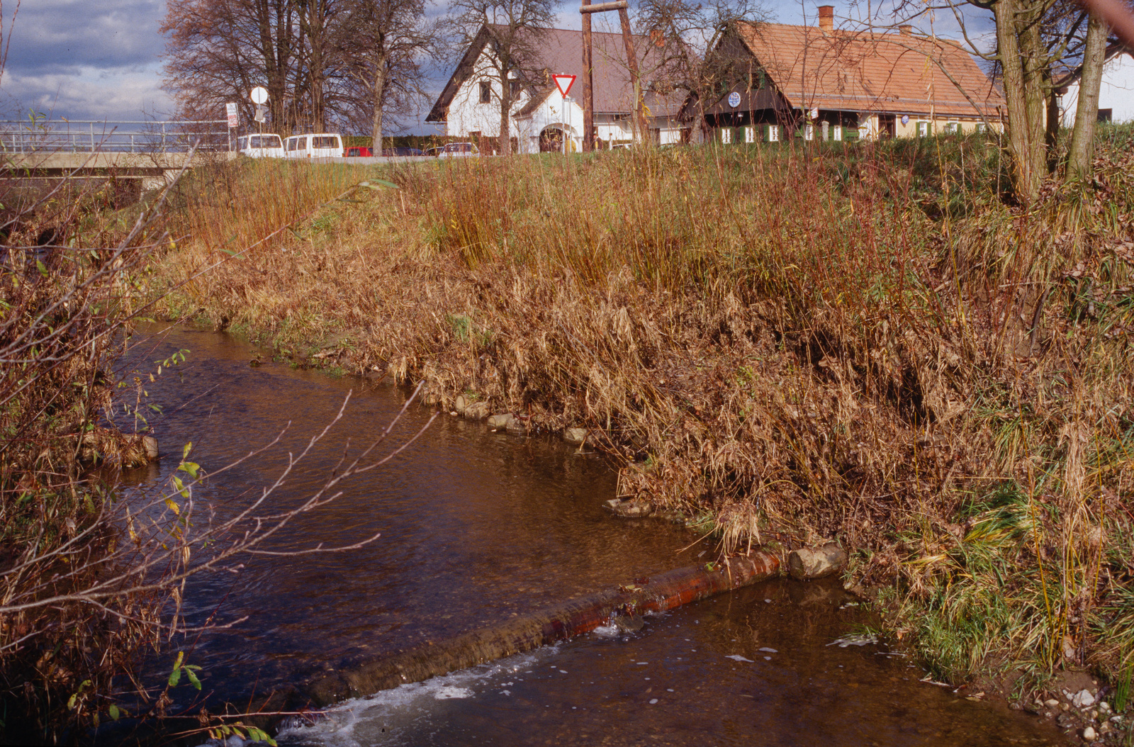 Graz, Österreich, 1 j. Stufenförmige Uferpfahlwand, Doblbach/Graz