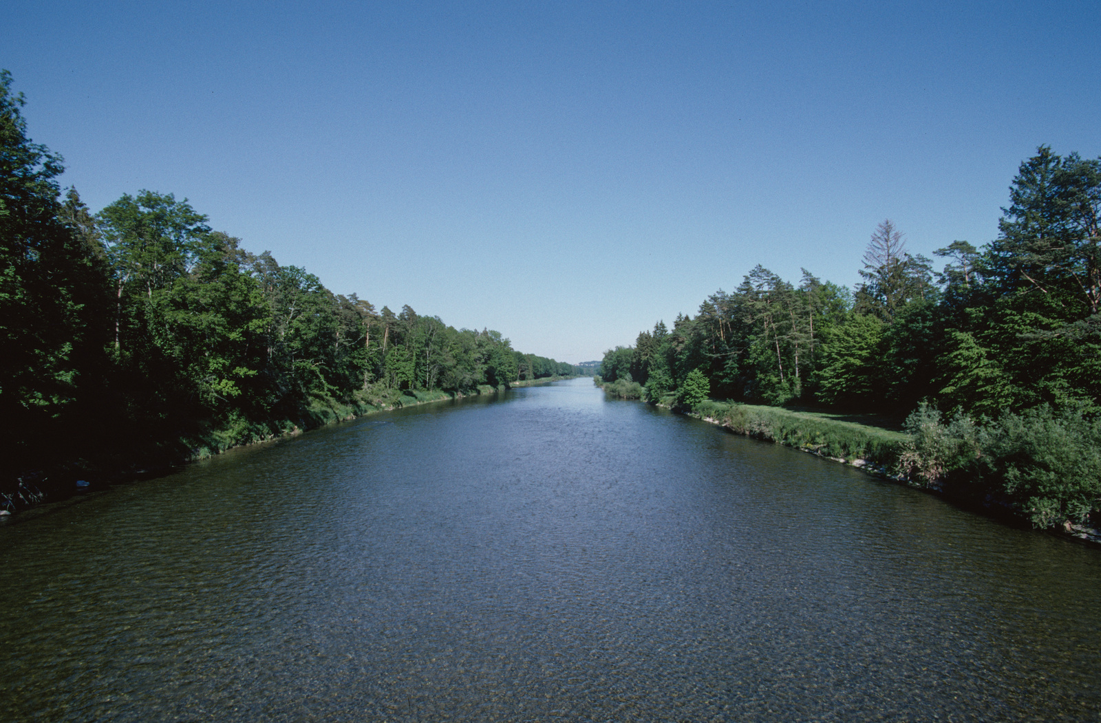 Flaach ZH, Ufer und Flussbett der Thur bei der Ellikerbrücke bei ca. km 1.50 flussaufwärts